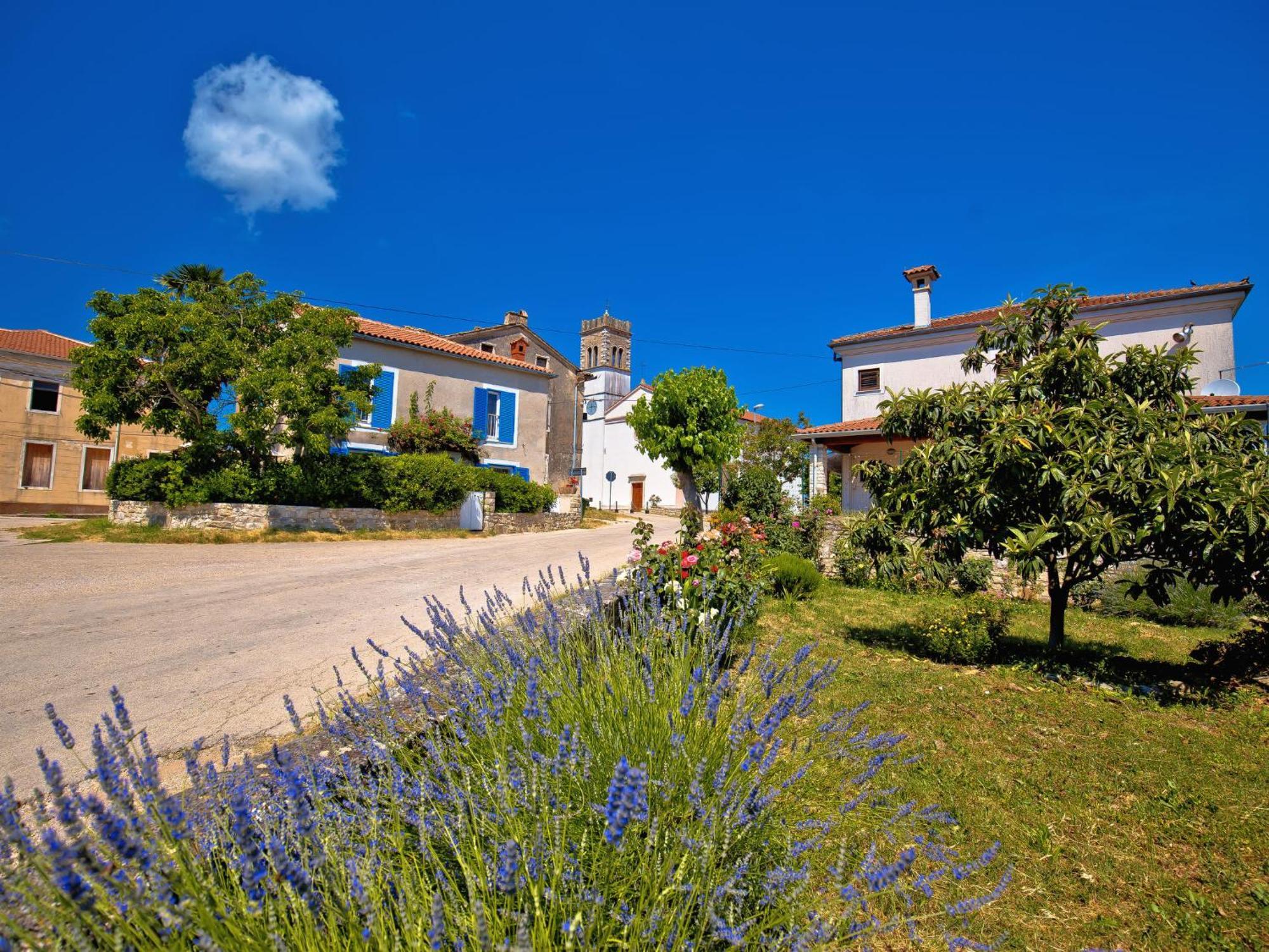 Holiday Home Villa Lucky By Interhome Brtonigla Bagian luar foto